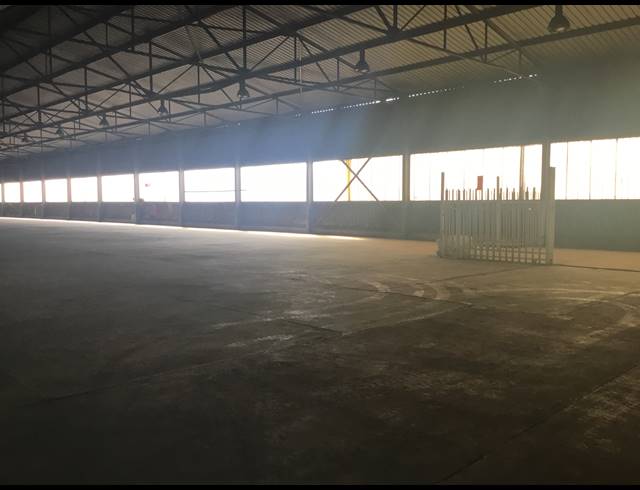 7,595M² WAREHOUSE FOR SALE IN WADEVILLE